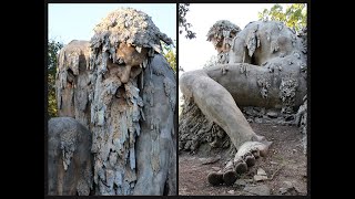 The Secret Inside This 450-Year-Old Giant | The Apennine Colossus