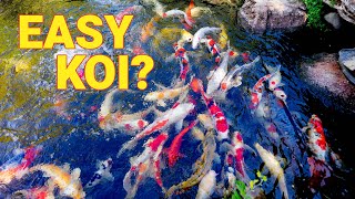 Keeping Koi is EASY! 3 Tips BEFORE You Get Started
