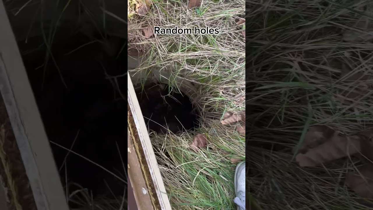 Worst things I’ve found whilst doing urban exploration… 