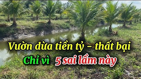 5 Sai Lầm Khi Trồng Dừa Mã Lai – Nhà Vườn Cần Biết Để tránh thất bại