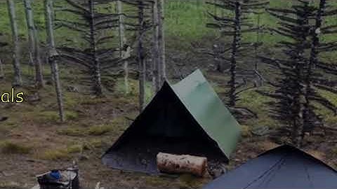 Latest Trends: 3 Days in Arctic Survival Shelter - Solo Bushcraft Camping & Blacksmithing.