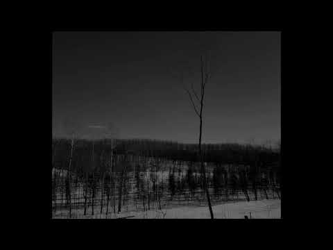 Svetovid — SVETOVID "Gods of Dust"