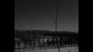 Download Lagu SVETOVID \ MP3