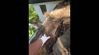 Fullerton Roofers 714-869-ROOF