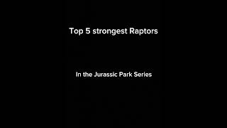 Top five raptors