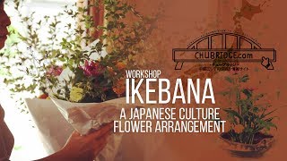 Ikebana A Japanese Culture Flower Arrangement Filmoment