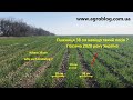 Пшениця 38 см навіщо такий посів ? Посівна 2020 року Україна Seeding Wheat 38 cm why such a sowing ?