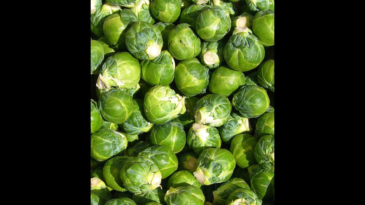 DISCOVER THE MIGHTY POWER OF BRUSSEL SPROUTSUPERFOOD FIGHT CANCER