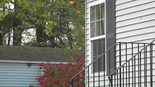 Residents of mobile home park in Jay now own the land