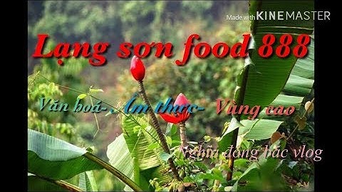 Cung cấp lá móc mật quả móc mật/#Lạng_sơn_food888