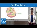 Cellular Level of Organization Quiz