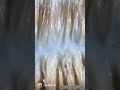 閲覧注意、可愛いけども⁈