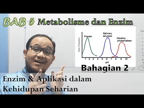 Video: Bagaimanakah aktiviti enzim berubah apabila kepekatan substrat berkurangan?