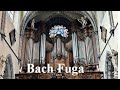 J S Bach Fuga BWV 861 Sint Jacobskerk Gent Belgium G Moll Bach St Jacob Ghent WTK I Loncke Orgel 