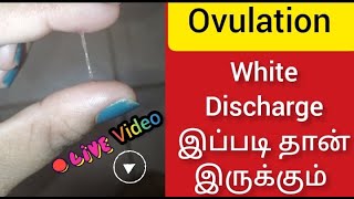 Ovulation white discharge in tamil/ovulation symptoms in tamil/Fast pregnancy tips  tamilpregnancy