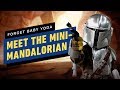 Meet The Mini-Mandalorian