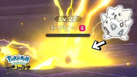 ポケモン 雪崩