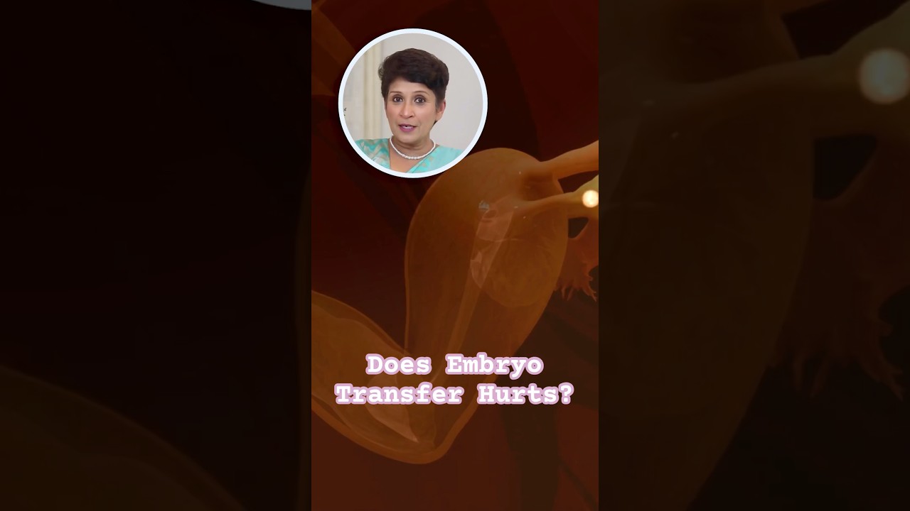 Does Embryo Transfer Hurts? | Dr Supriya Puranik #mothercare #embryotransfer #drsupriyapuranik #ivf