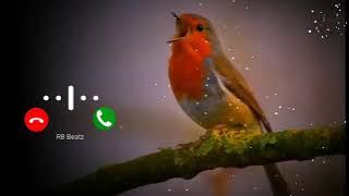Nada dering kicau burung