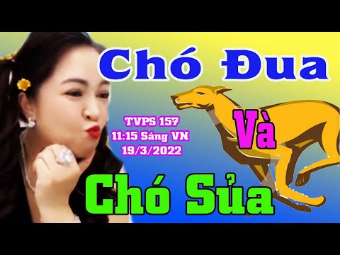 Video: Bi kịch Hy Lạp khác với một bộ phim hay vở kịch bi kịch ngày nay như thế nào?