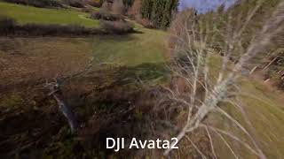DJI Avata 2 vs GEPRC Vapor D5 – Same Line, Two WorldsComparison