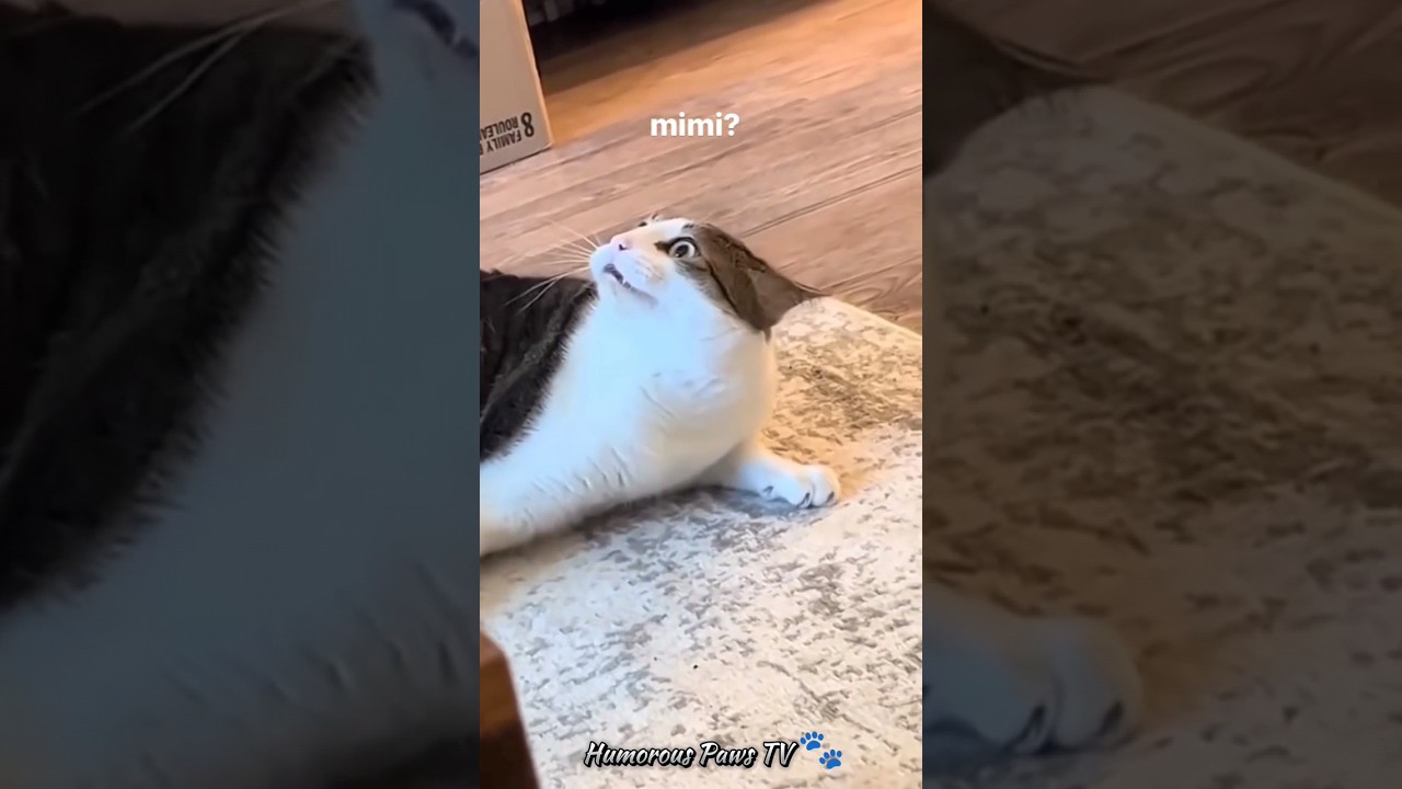 Pint-sized Pranks: Tiny Tumult! 🐾😄 