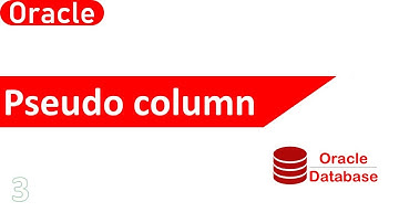 Oracle Pseudo columns | What is pseudo-columns in oracle?