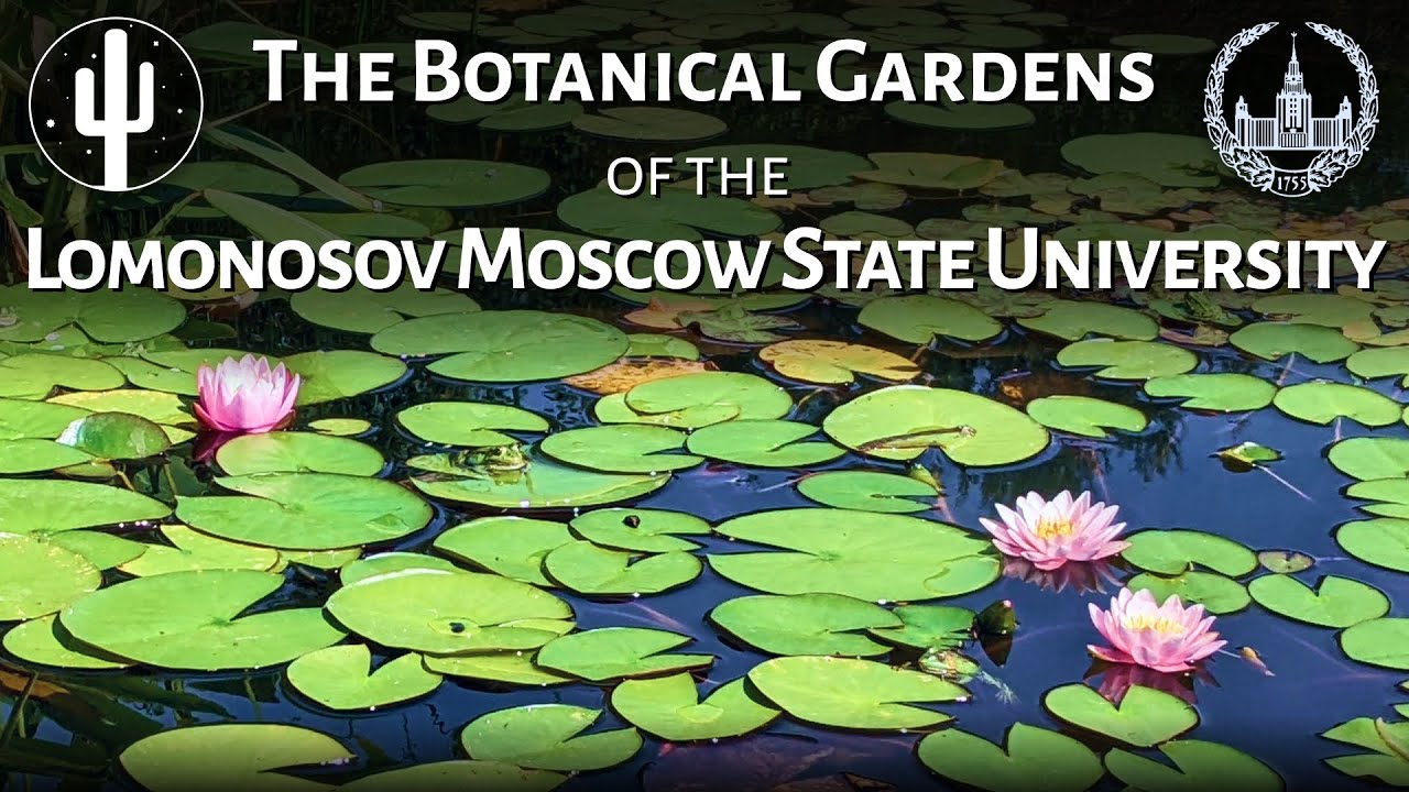 Ботанический сад МГУ / The Botanical Gardens of MSU