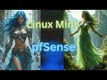 Install pfSense On Linux Mint Using Qemu KVM And Virt Manager