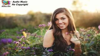 No Copyright Music, Free Music - Silvershine