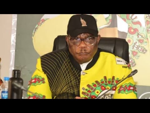 Kudzai Mutisi Mnangagwa Propagandist Says Chiwenga Has Colonial Hangover