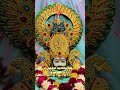 hay hay re mere shyam savariyan #fypシ #foryou #roshninandi #andrast #khatushyam #vj740 #viral