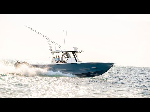 Introducing the 36' Catamaran