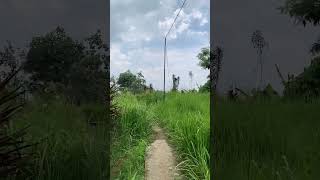 Menelusuri Jalan Setapak Pemakaman Umum