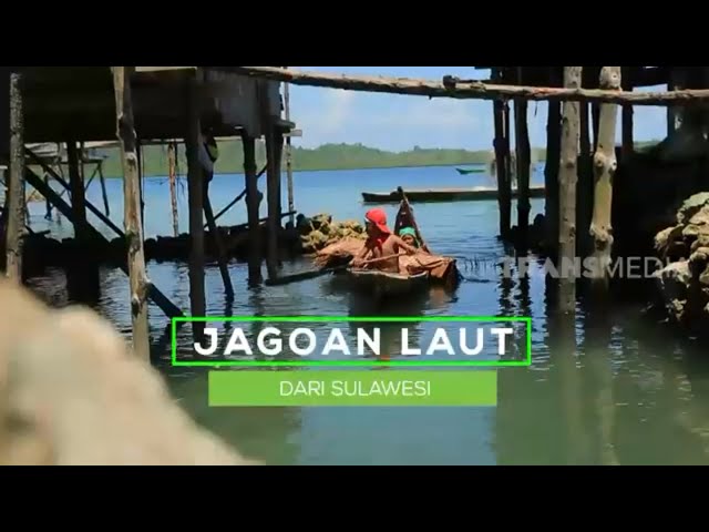 [FULL] Jagoan Laut Dari Sulawesi | BOCAH PETUALANG (18/11/20) class=