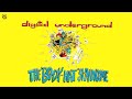 Digital Underground - Doo Woo You