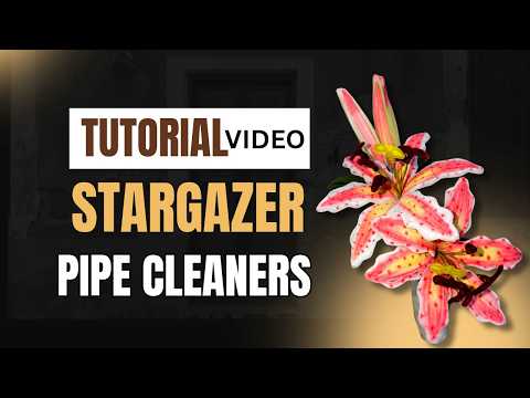DIY Stargazer Lily