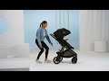 Joie Ginger Stroller - Overview