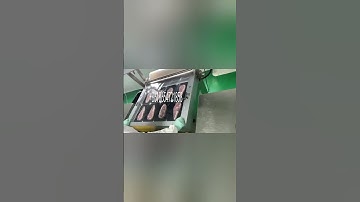 Beef steaks vacuum skin packaging machine LSP760 for meat, fish and seafood, cheese, ready meals