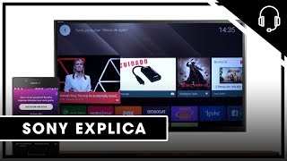 Sony | Suporte | TV | Como usar a função Google Cast™ em sua Android TV. screenshot 5