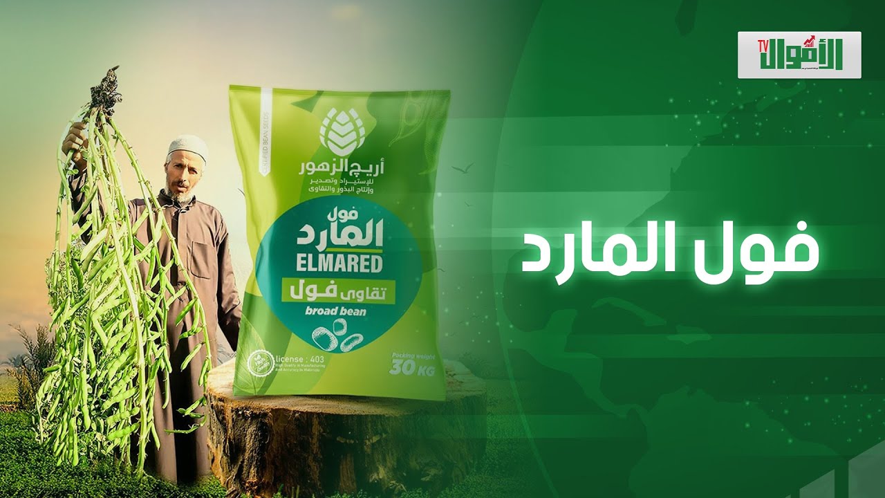 المارد المصري وصل.. فول بلدي بطول راجل وفدان بيكسب دهب.. حكاية المارد اللي طلع من عقل مصري  !