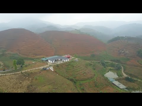 Lào Cai: Ngang nhiên xây nhà trên đất rừng | VTC14 Lào Cai: Ngang nhiên xây nhà trên đất rừng | VTC14