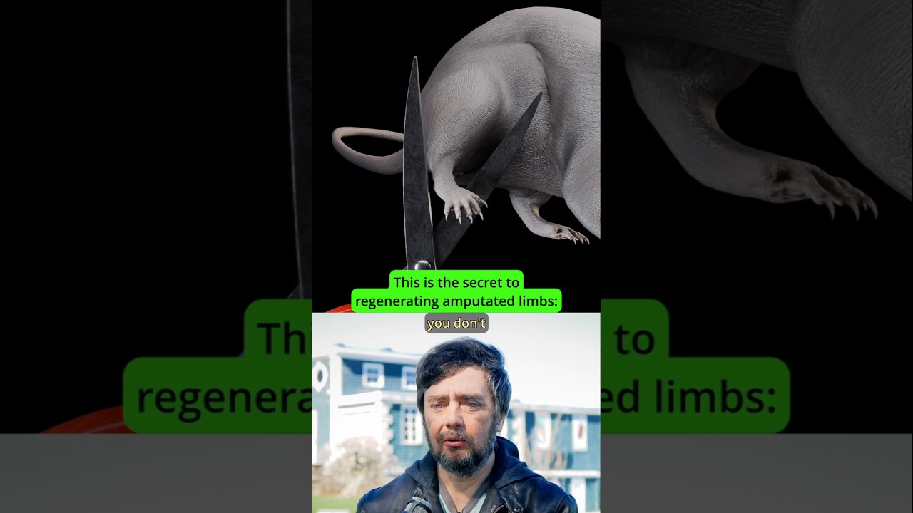 What's stopping us from regrowing limbs? - Michael Levin #biology #medicine