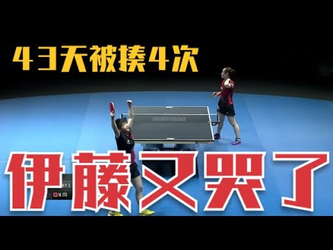 伊藤又哭了！43天内被孙颖莎暴揍4次，生死时刻一拍打飞10万美元