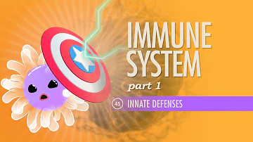 Immune System, Part 1: Crash Course Anatomy & Physiology #45