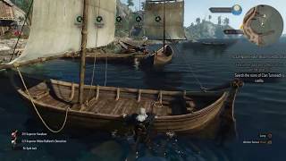 The Witcher 3: climbing bug