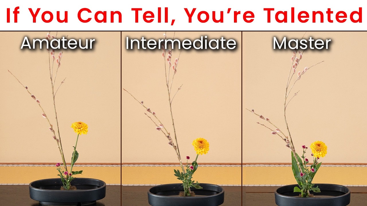 Do You Have Talent?] Key Points That Separate Amateur and