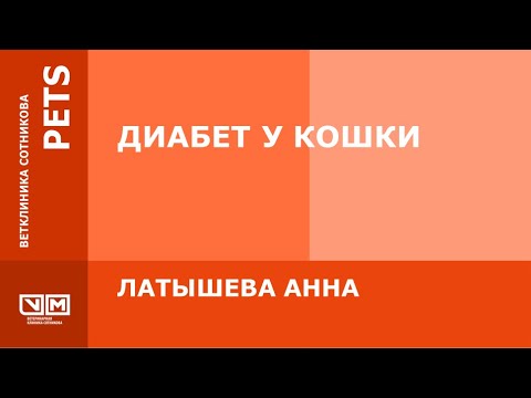 Диабет у кошек