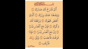 سورة الشرح - القارئ الشيخ محمد الفقيه  #اكسبلور #قرآن #تلاوات #المصحف #تلاوة_خاشعة #آيات