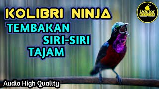 KOLIBRI NINJA GACOR FULL ISIAN TEMBAKAN SIRI-SIRI TAJAM COCOK UNTUK MASTERAN KONIN BAHAN PASTOL